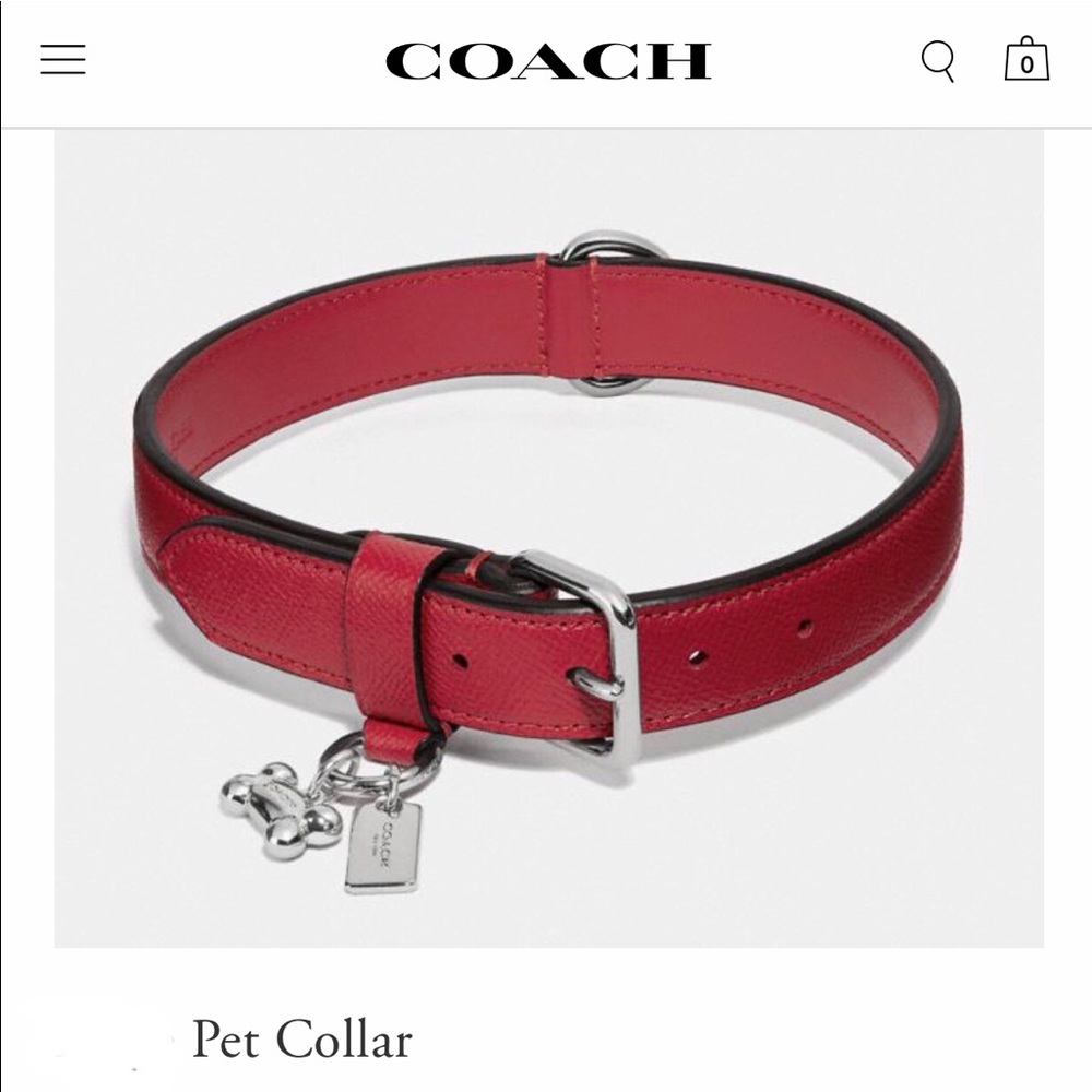 Coach Dog Collar Small